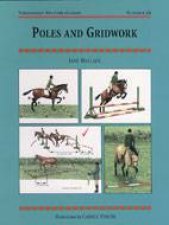 Poles and Gridwork Threshold Picture Guide No 26