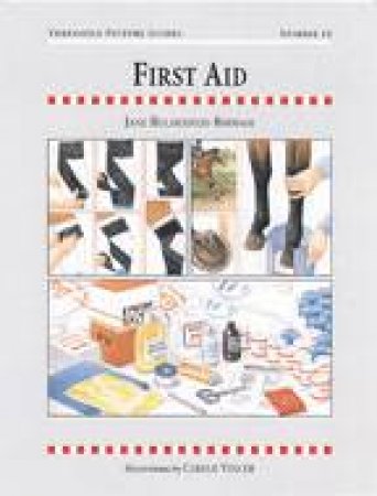 First Aid: Threshold Picture Guide 12 by HOLDERNESS-RODDAM JANE