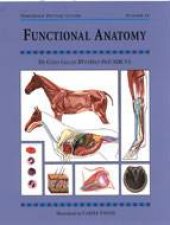 Functional Anatomy Threshold Picture Guide 43