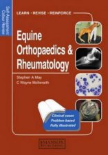 Equine Orthopaedics  Rheumatology
