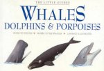 The Little Guides Whales Dolphins  Porpoises