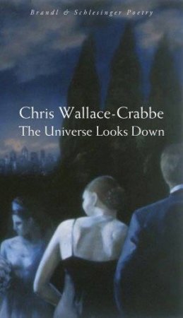 The Universe Looks Down by Chris Wallace-Crabbe
