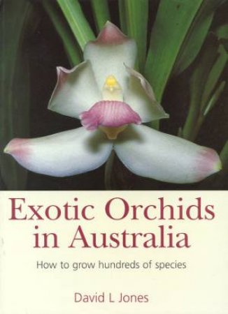 Exotic Orchids In Australia by David L Jones