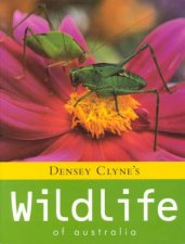 Densey Clynes Wildlife Of Australia
