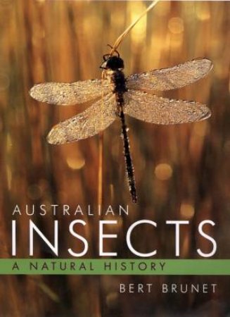 Australian Insects: A Natural History by Bert Brunet