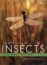 Australian Insects A Natural History