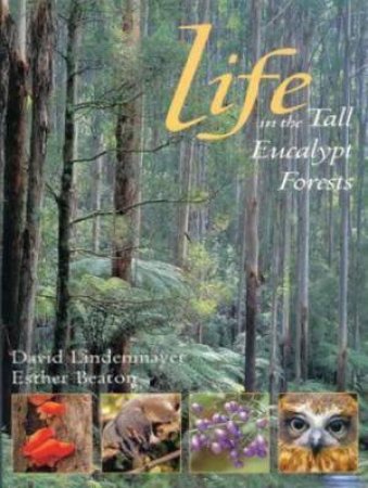 Life In The Tall Eucalypt Forests by David Lindenmayer