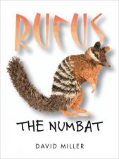 Rufus the Numbat