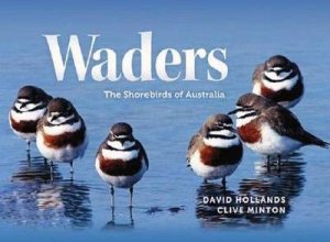 Waders: The Shorebirds of Australia by David Hollands