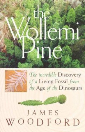 The Wollemi Pine by James Woodford