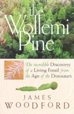 The Wollemi Pine