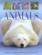 The Encyclopedia Of Animals Mammals Birds Reptiles Amphibians