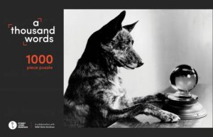 A Thousand Words 1000-Piece Jigsaw Puzzle by Various