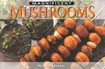 Magnificent Mushrooms