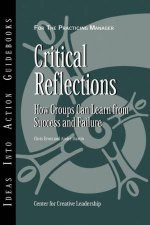 Critical Reflections How Groups Can Learn From Success And Failure