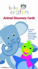 Baby Einstein Animal Discovery Cards