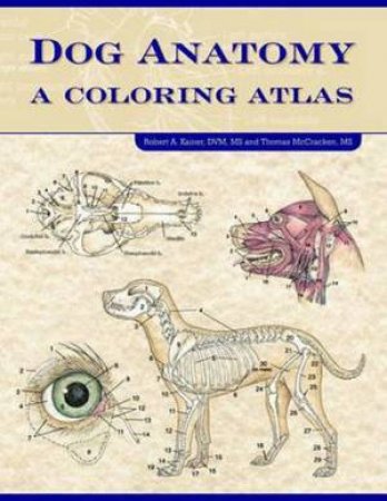 Dog Anatomy Colouring Atlas by Robert Kainer
