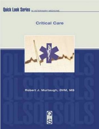 Critical Care by Robert Murtaugh