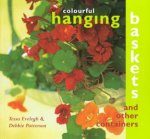 Colourful Hanging Baskets And Other Containers