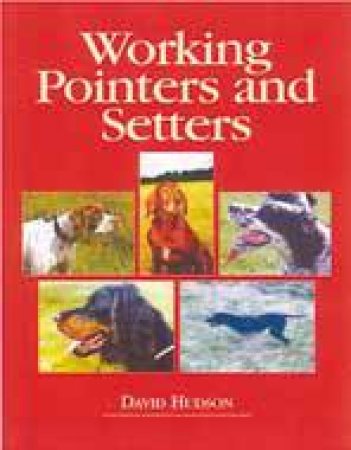 Working Pointers and Setters by HUDSON DAVID