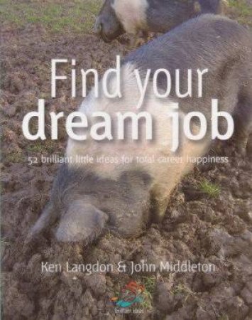 Find Your Dream Job: 52 Brilliant Little Ideas To Total Career Happiness by Infinite Ideas