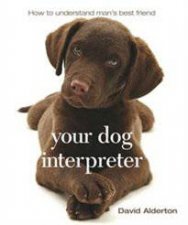 Your Dog Interpreter How to Understand Mans Best Friend