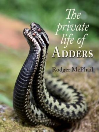 Private Life of Adders by ROGER MCPHAIL