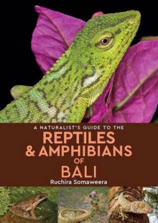 Naturalist's Guide to the Reptiles & Amphibians of Bali by Dr. Ruchira Somaweera