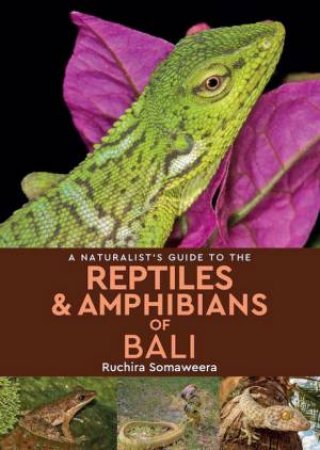 Naturalist's Guide to the Reptiles & Amphibians of Bali