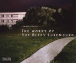 Commonsensual the Works of Rut Blees Luxemburg