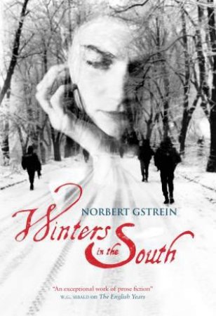 Winters in the South by Norbert GSTrein