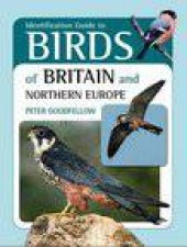 Identification Guide to Birds of Britain and Northern Europe