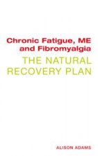 Chronic Fatigue ME and Fibromyalgia The Natural Recovery Plan