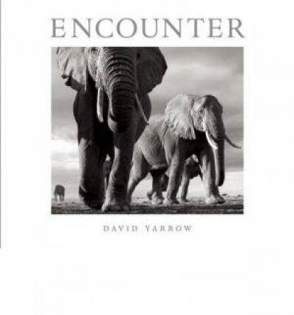 Encounter by David Yarrow