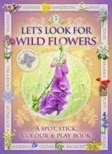 Lets Look For Wild Flowers