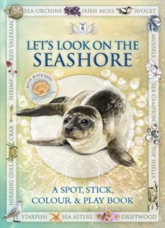 Let's Look On The Seashore by Andrea Pinnington