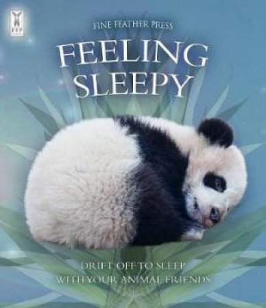 Feeling Sleepy: Interactive Animal Board Book To Help Your Child Fall Asleep by Andrea Pinnington