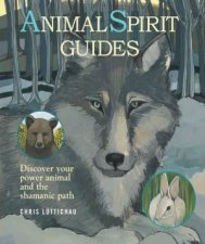 Animal Spirit Guides