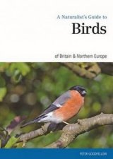 Naturalsts Guide to the Garden Birds of Britain  Northern Europe