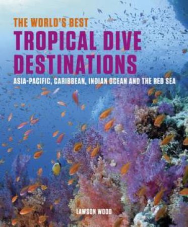 World's Best Tropical Dive Destinations by Lawson Wood