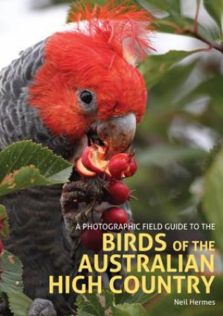 A Photographic Field Guide To The Birds Of The Australian High Country by Neil Hermes