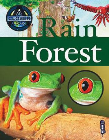 A Closer Look At: Rainforest