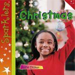 Sparklers Celebrations Christmas