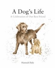 A Dogs Life A Celebration of Our Best Friend