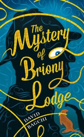 The Mystery Of Briony Lodge by David Bagchi