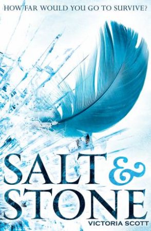 Salt & Stone by Victoria Scott