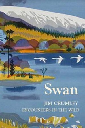 Swan by Jim Crumley