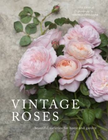 Vintage Roses: Beautiful Varieties For Home And Garden