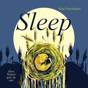 Sleep by Kate Prendergast