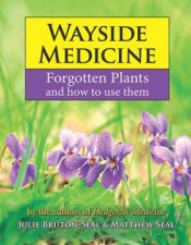 Wayside Medicine Forgotten Plants To Make Your Own Herbal Remedies